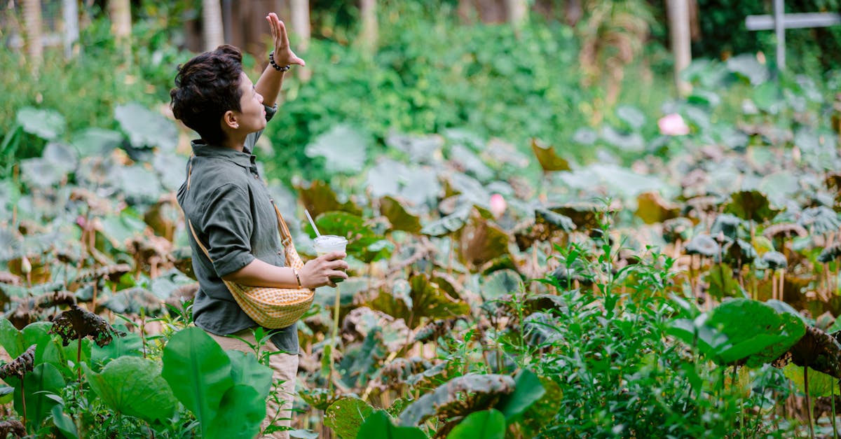 découvrez l'écologie humaine, une discipline qui explore les interactions entre l'homme et son environnement. apprenez comment nos comportements, cultures et modes de vie influencent la nature et comment nous pouvons créer un avenir durable. plongez dans l'étude des relations complexes entre les sociétés humaines et leur écosystème.