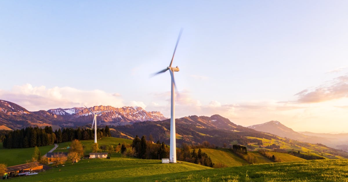 découvrez des solutions durables et des pratiques écoresponsables pour un avenir meilleur. explorez nos conseils et astuces pour vivre de manière plus écologique tout en préservant notre planète.