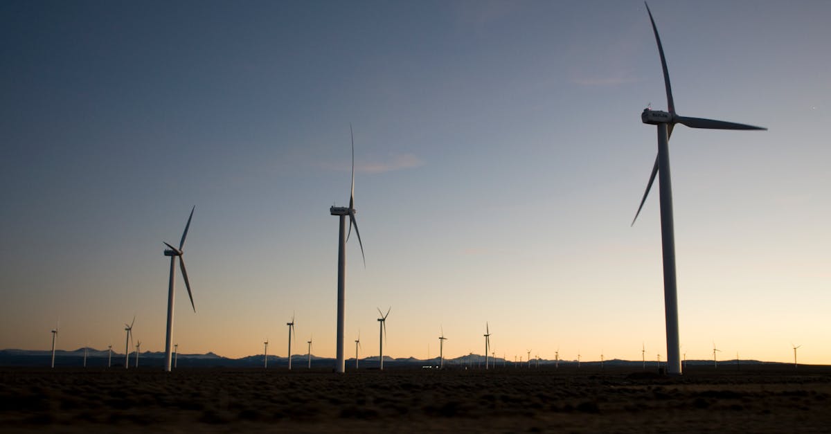 découvrez les enjeux et les solutions du développement durable, un concept essentiel pour préserver notre planète et améliorer la qualité de vie. apprenez comment intégrer des pratiques écologiques et responsables dans votre quotidien et participer à la protection de l'environnement pour les générations futures.
