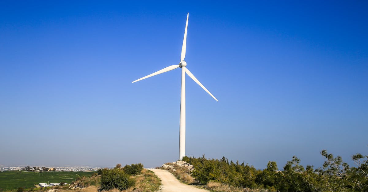 découvrez les enjeux du développement durable, un concept clé pour préserver notre planète tout en assurant un avenir prospère. explorez des solutions innovantes et des pratiques responsables pour un équilibre entre écologie, économie et société.