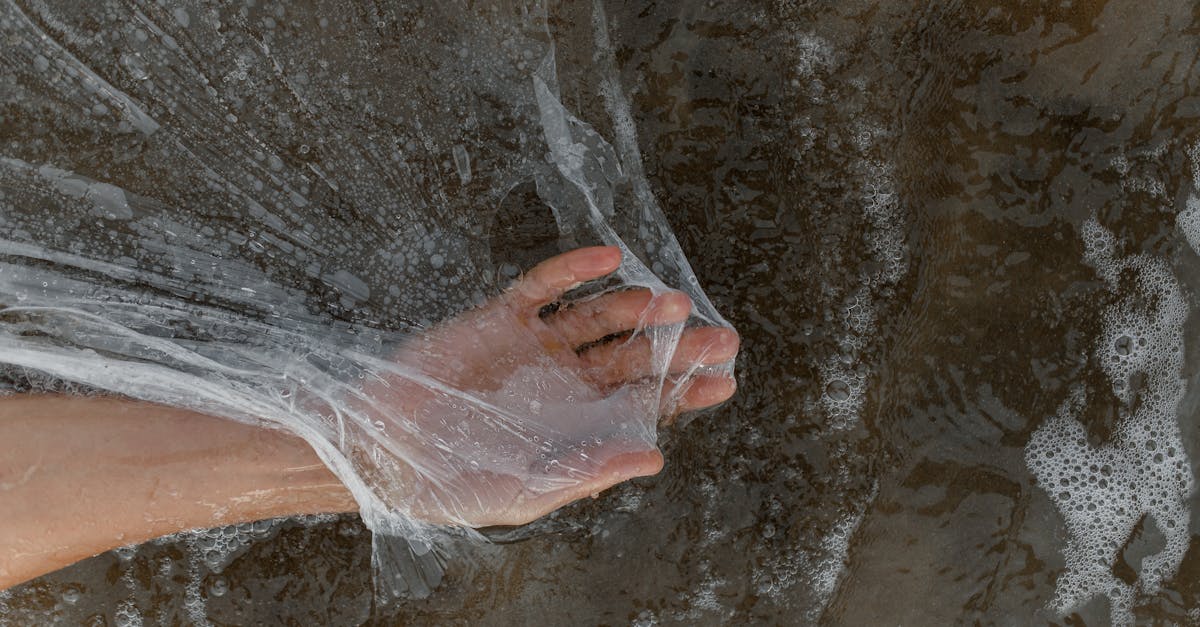 découvrez comment créer un impact durable grâce à des pratiques écoresponsables et innovantes. rejoignez le mouvement vers un avenir plus vert et apprenez des stratégies efficaces pour minimiser votre empreinte écologique tout en favorisant le développement durable.