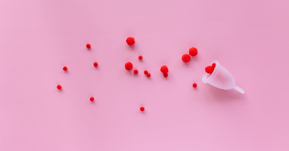 découvrez comment générer un impact durable grâce à des pratiques responsables et innovantes. explorez des initiatives écologiques qui enrichissent nos communautés tout en préservant notre planète.