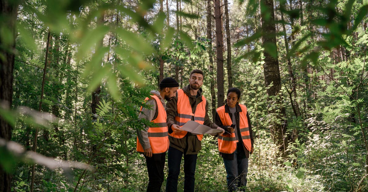 découvrez les principes du leadership durable et comment ils transforment les organisations. apprenez à inspirer des équipes tout en préservant l'environnement et en favorisant le bien-être social. embrassez une approche éthique et responsable du leadership pour un avenir meilleur.