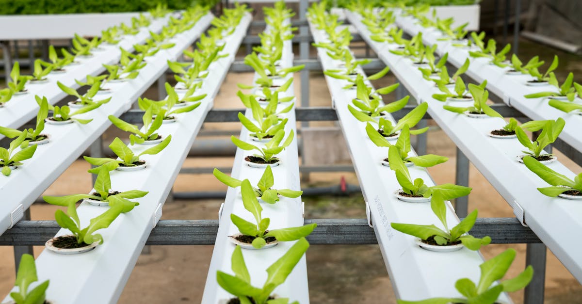 découvrez l'urbanisme durable, une approche innovante qui vise à harmoniser développement urbain et respect de l'environnement. explorez les stratégies qui favorisent la durabilité, la qualité de vie et l'intégration des espaces verts dans nos villes.