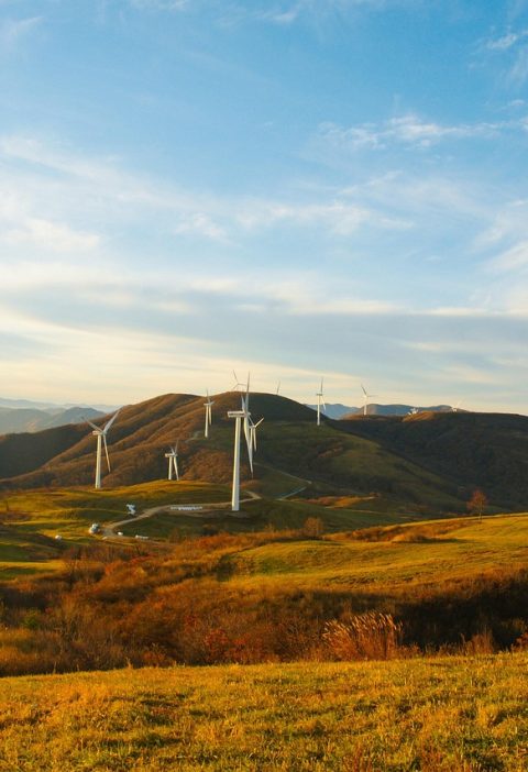 découvrez les meilleures pratiques, innovations et conseils pour adopter un mode de vie et une consommation durables. engagez-vous pour la planète avec des solutions écologiques et responsables.