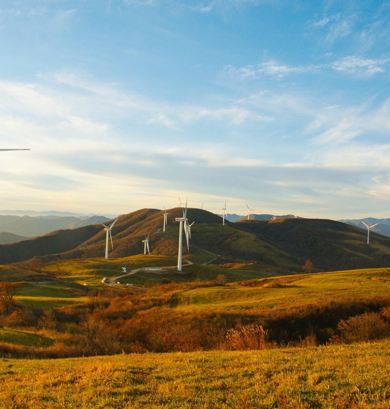 découvrez les meilleures pratiques, innovations et conseils pour adopter un mode de vie et une consommation durables. engagez-vous pour la planète avec des solutions écologiques et responsables.