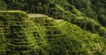 Imprévisibilité climatique : Comprendre ses impacts sur notre environnement