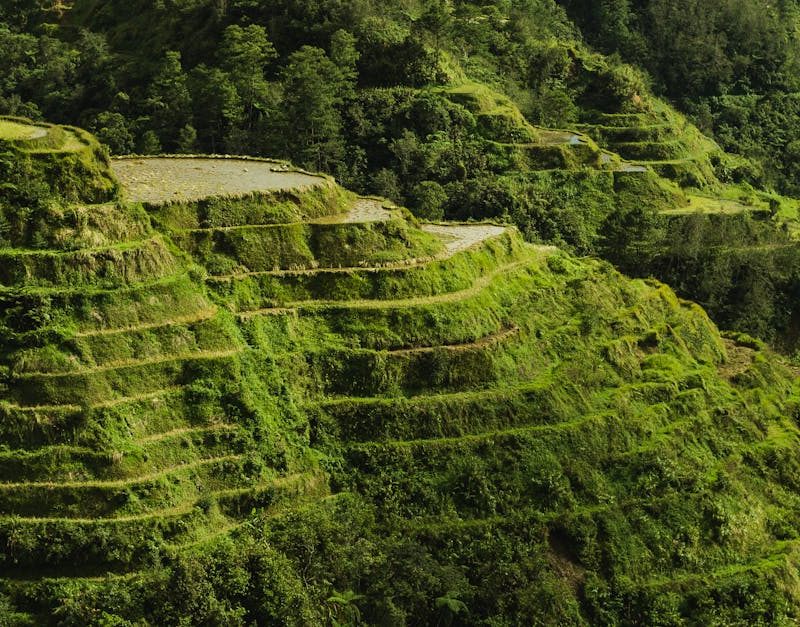 découvrez les pratiques durables qui préservent notre planète tout en favorisant un développement responsable. explorez des stratégies écologiques pour un avenir meilleur.