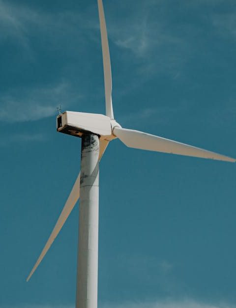 découvrez comment adopter un mode de vie plus écologique avec des conseils et solutions pour réduire votre empreinte écologique et favoriser un avenir durable.