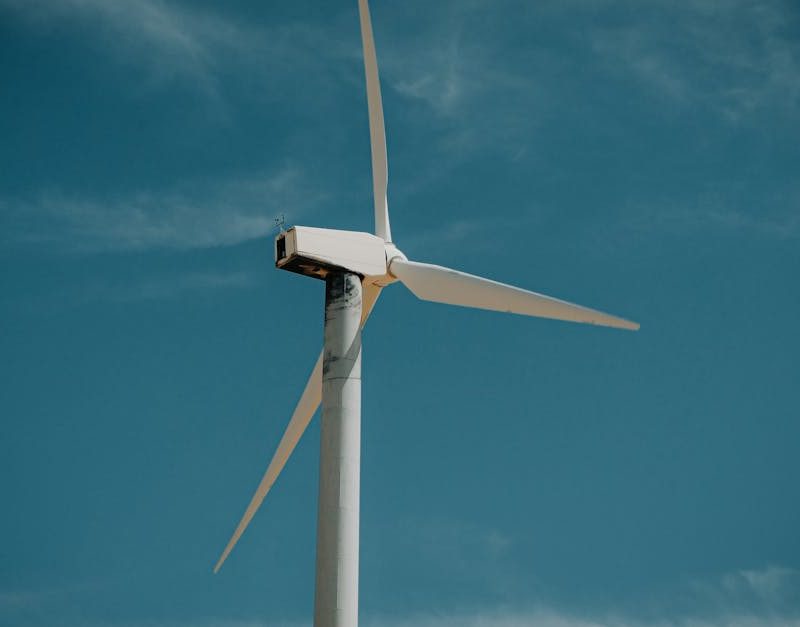 découvrez comment adopter un mode de vie plus écologique avec des conseils et solutions pour réduire votre empreinte écologique et favoriser un avenir durable.
