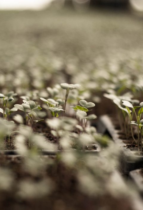 découvrez les gaz à effet de serre, leurs origines, leur impact sur le climat et les solutions pour réduire leur emprunte carbone. informez-vous sur les enjeux environnementaux et les actions à mener pour un avenir durable.