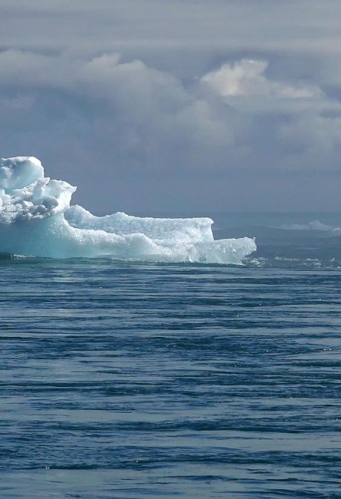 découvrez les dernières informations sur le changement climatique, ses causes, ses conséquences et les solutions pour protéger notre planète. informez-vous et agissez face à l’urgence climatique.