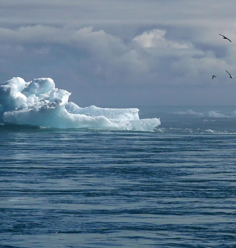 découvrez les dernières informations sur le changement climatique, ses causes, ses conséquences et les solutions pour protéger notre planète. informez-vous et agissez face à l’urgence climatique.