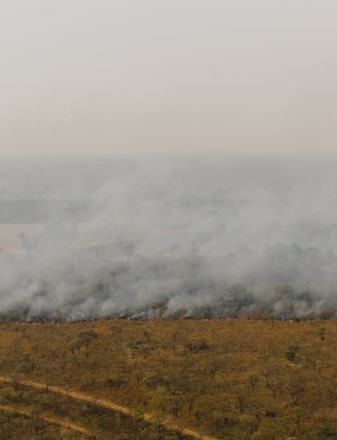 découvrez ce qu'est l'héritage environnemental, ses impacts sur notre planète et les actions à entreprendre aujourd'hui pour préserver un avenir durable pour les générations futures.