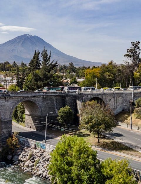 découvrez l'importance de la biodiversité urbaine : son rôle crucial pour l'environnement, la qualité de vie et les solutions pour favoriser la nature en ville.