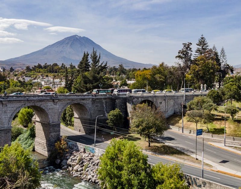 découvrez l'importance de la biodiversité urbaine : son rôle crucial pour l'environnement, la qualité de vie et les solutions pour favoriser la nature en ville.