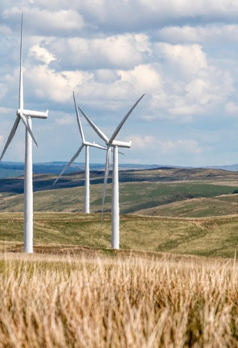 découvrez comment le management durable favorise la croissance responsable des entreprises en conciliant performance économique, respect de l’environnement et bien-être social. adoptez des pratiques innovantes et éthiques pour un avenir meilleur.