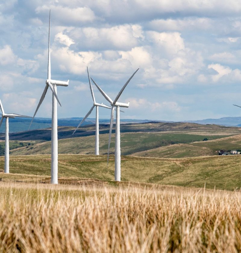 découvrez comment le management durable favorise la croissance responsable des entreprises en conciliant performance économique, respect de l’environnement et bien-être social. adoptez des pratiques innovantes et éthiques pour un avenir meilleur.