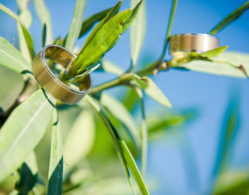 découvrez comment les partenariats verts favorisent l'innovation durable et la protection de l'environnement grâce à des collaborations entre entreprises, collectivités et organisations engagées.