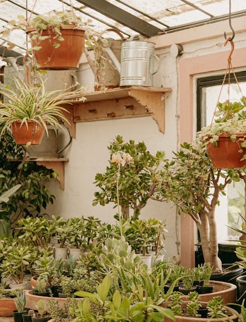 découvrez le jardinage durable : techniques écologiques, économie d’eau, compost, biodiversité et outils pour cultiver sainement tout en respectant la nature.