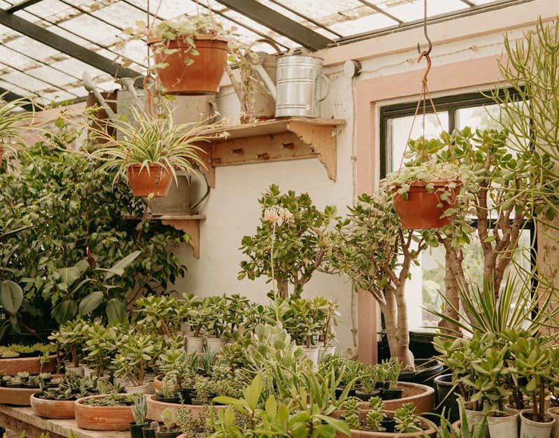 découvrez le jardinage durable : techniques écologiques, économie d’eau, compost, biodiversité et outils pour cultiver sainement tout en respectant la nature.