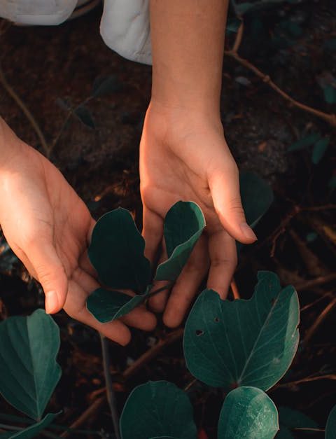 découvrez l'importance de la protection des sols, les meilleures pratiques pour préserver la fertilité, prévenir l'érosion et soutenir la biodiversité. protégez durablement notre environnement grâce à nos conseils.