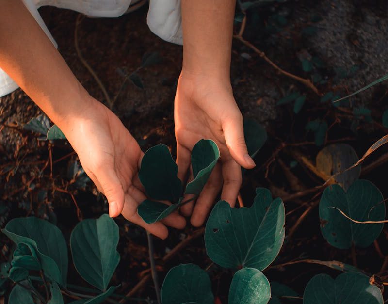 découvrez l'importance de la protection des sols, les meilleures pratiques pour préserver la fertilité, prévenir l'érosion et soutenir la biodiversité. protégez durablement notre environnement grâce à nos conseils.
