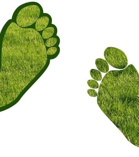 découvrez ce qu'est l'empreinte carbone, comment elle impacte l'environnement et des solutions pour la réduire au quotidien. agissez dès maintenant pour un avenir plus durable.