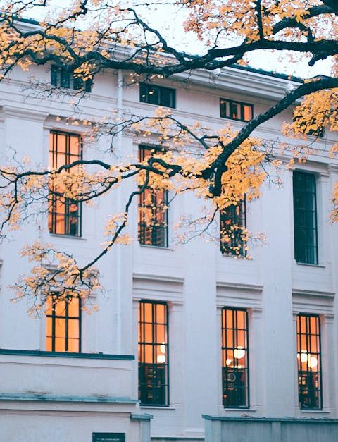 découvrez l'importance de la végétation urbaine dans nos villes modernes. explorez ses bénéfices écologiques, esthétiques et sociaux, ainsi que des solutions innovantes pour intégrer la nature dans l'environnement urbain.