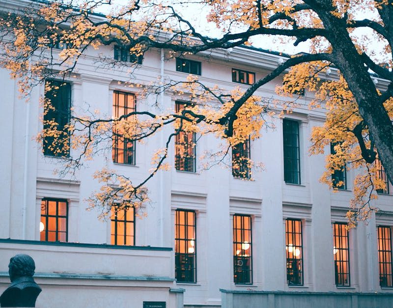 découvrez l'importance de la végétation urbaine dans nos villes modernes. explorez ses bénéfices écologiques, esthétiques et sociaux, ainsi que des solutions innovantes pour intégrer la nature dans l'environnement urbain.