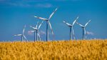 Meilleur héritage environnemental : Comment laisser une empreinte positive pour les générations futures