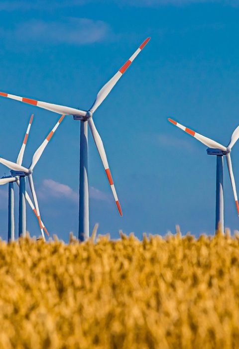 découvrez l’architecture durable : principes, innovations et avantages pour construire des bâtiments écologiques, réduire l’empreinte carbone et favoriser un avenir respectueux de l’environnement.