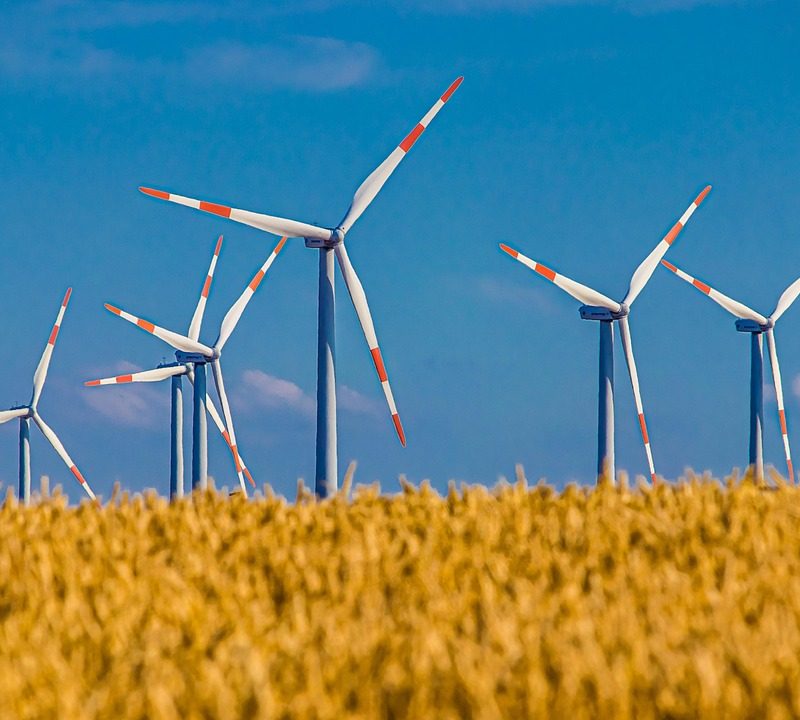 découvrez l’architecture durable : principes, innovations et avantages pour construire des bâtiments écologiques, réduire l’empreinte carbone et favoriser un avenir respectueux de l’environnement.