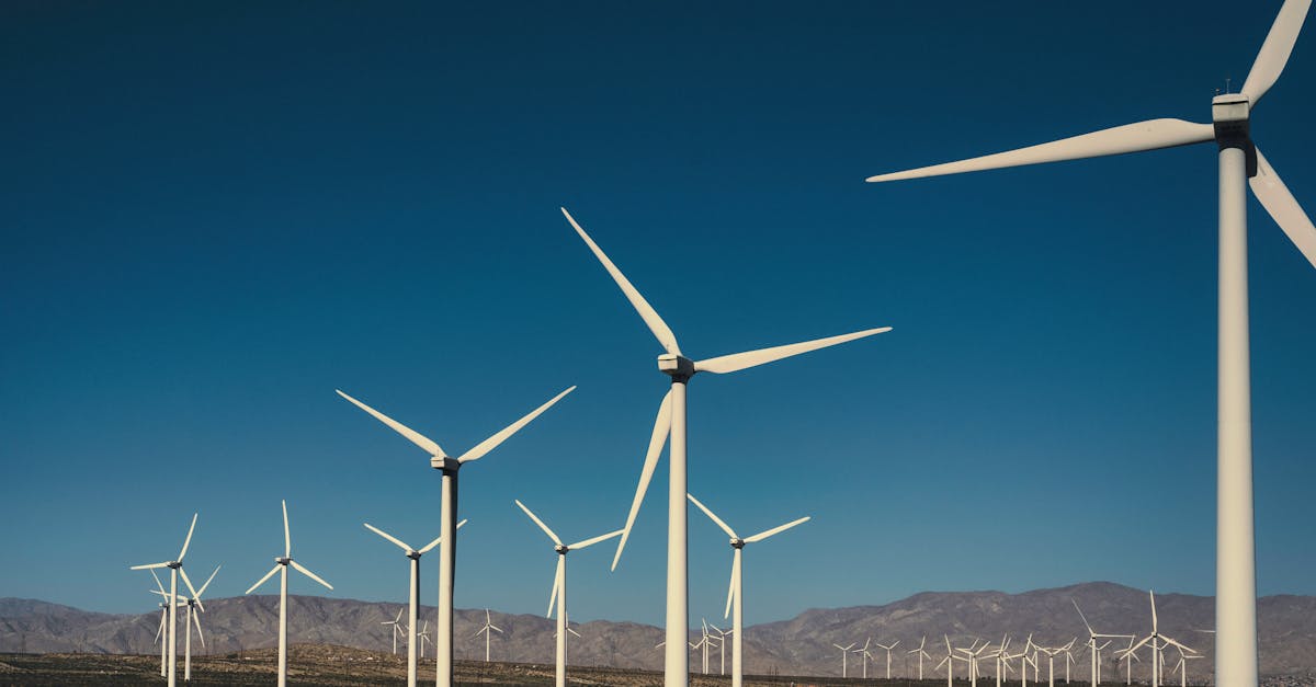 découvrez ce qu'est l'empreinte carbone, son impact sur l'environnement et des conseils pratiques pour réduire votre impact au quotidien. informez-vous et agissez pour la planète !