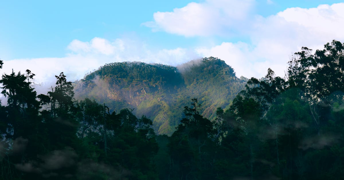 découvrez l'évaluation environnementale : un processus clé pour analyser et anticiper les impacts des projets sur l'environnement, en vue d'assurer un développement durable et responsable.