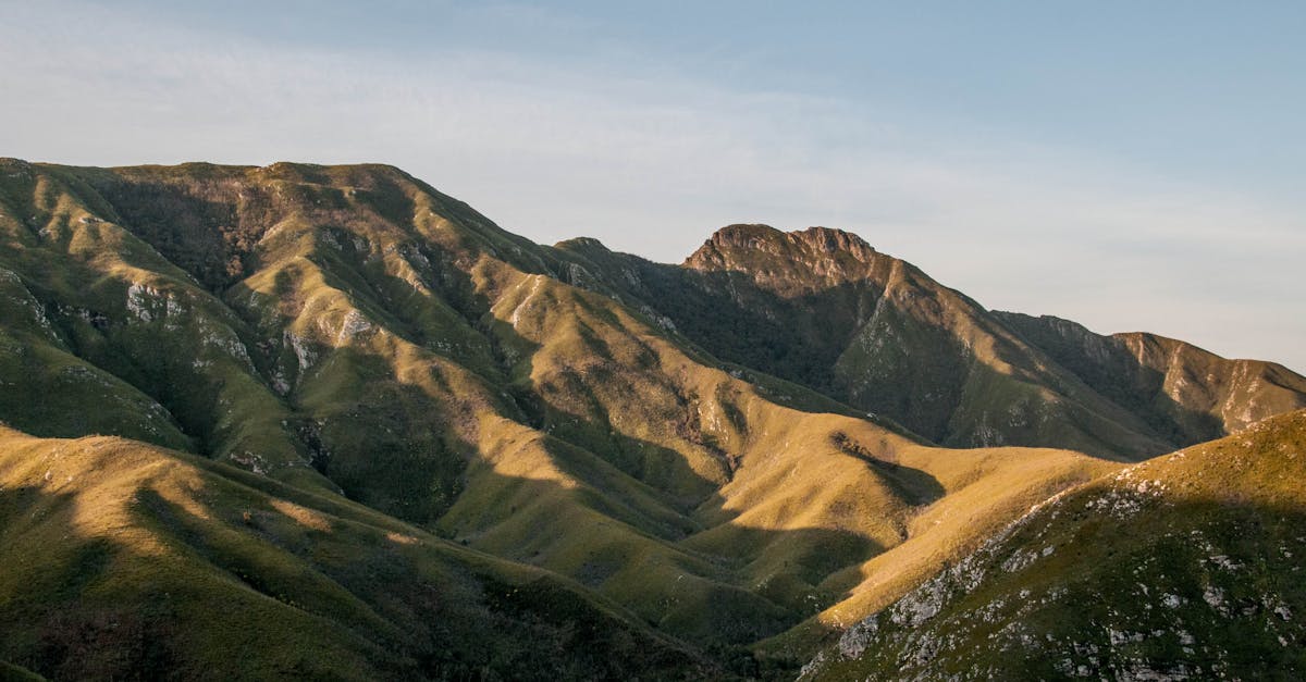 découvrez comment l'héritage environnemental façonne notre avenir, en explorant les impacts des actions humaines passées sur la nature et les solutions pour préserver la planète pour les générations futures.