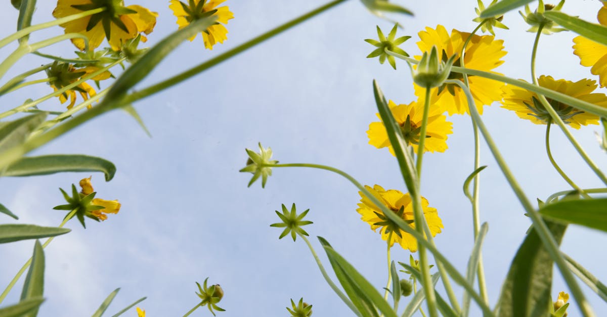 découvrez l'impact durable des actions humaines sur la planète et pourquoi l'héritage environnemental est crucial pour les générations futures. informez-vous sur les enjeux et solutions pour préserver notre environnement.