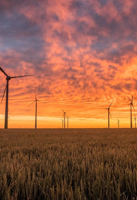 découvrez l'univers des énergies renouvelables, une solution durable et écologique pour un avenir énergétique plus vert. explorez les différentes sources, comme l'éolien, le solaire et l'hydraulique, et apprenez comment ces technologies transforment notre consommation d'énergie tout en préservant notre planète.