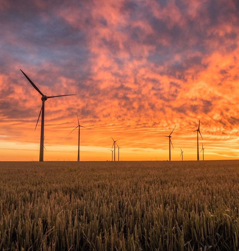 découvrez l'univers des énergies renouvelables, une solution durable et écologique pour un avenir énergétique plus vert. explorez les différentes sources, comme l'éolien, le solaire et l'hydraulique, et apprenez comment ces technologies transforment notre consommation d'énergie tout en préservant notre planète.