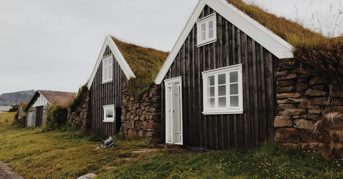 découvrez tout sur les greenroofs : avantages écologiques, isolation naturelle, design durable et conseils pour installer un toit végétalisé sur votre bâtiment.