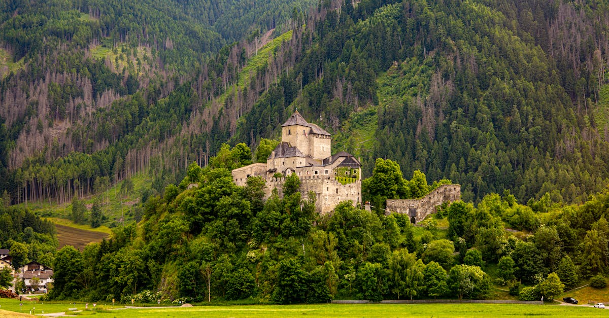 découvrez le patrimoine naturel, un trésor inestimable de paysages, d’écosystèmes et de biodiversité à préserver pour les générations futures. explorez comment la nature façonne notre histoire et notre culture.
