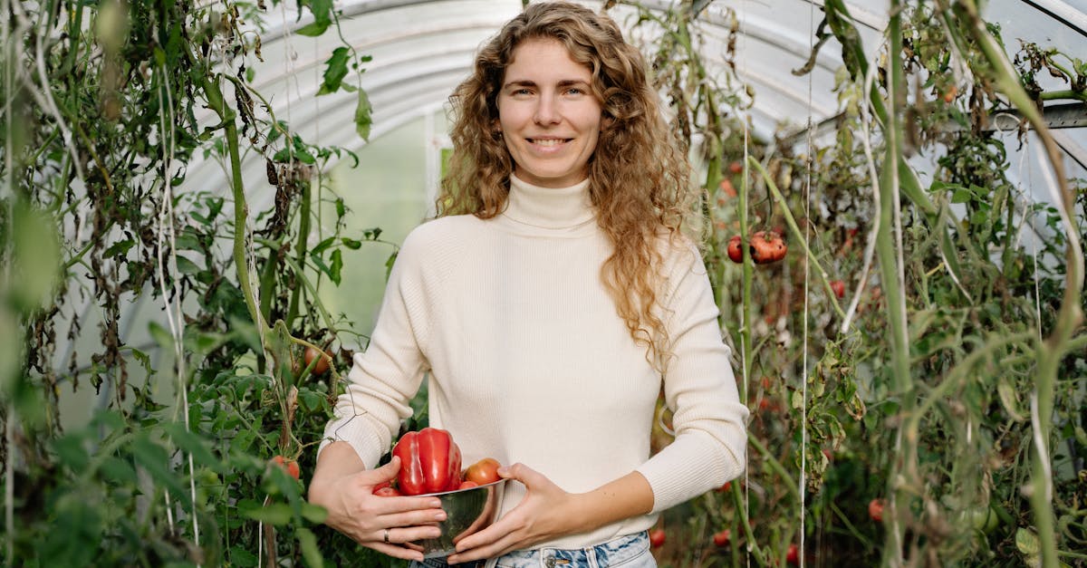 découvrez la permaculture : une approche durable et écologique pour cultiver votre jardin, favoriser la biodiversité et respecter l'environnement. conseils, techniques et inspirations pour débutants et passionnés.