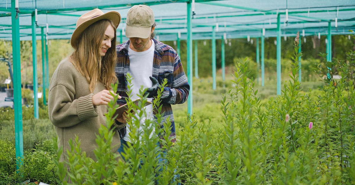 découvrez la permaculture : une approche durable de l'agriculture qui favorise l'autonomie, la biodiversité et le respect de l'environnement. apprenez les principes clés et les avantages de cette méthode innovante pour cultiver votre jardin de manière responsable.