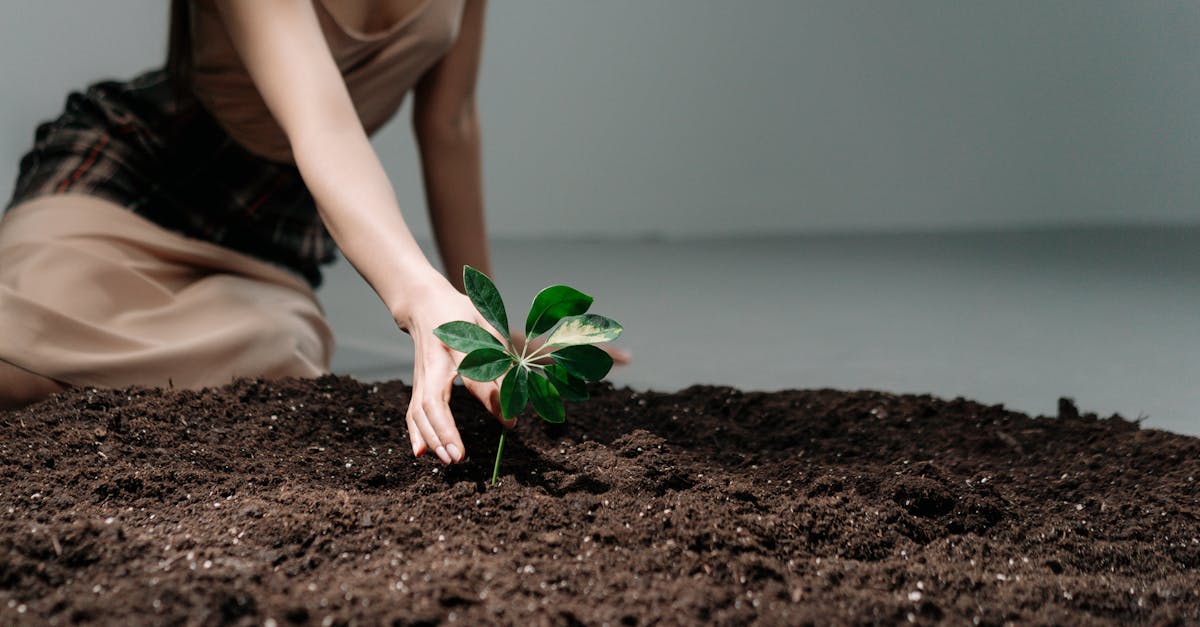 découvrez l'importance de la protection des sols pour préserver la fertilité, prévenir l'érosion et garantir un environnement sain pour les générations futures.