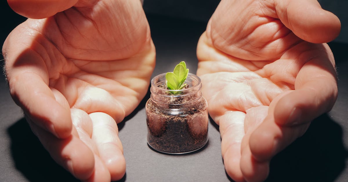 découvrez les meilleures pratiques et solutions pour la protection des sols : préservation de la fertilité, lutte contre l'érosion et conseils pour un environnement durable.