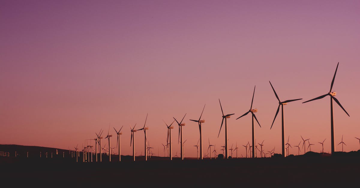 découvrez comment adopter des pratiques durables pour préserver l’environnement, favoriser une économie responsable et améliorer votre impact au quotidien grâce à la durabilité.