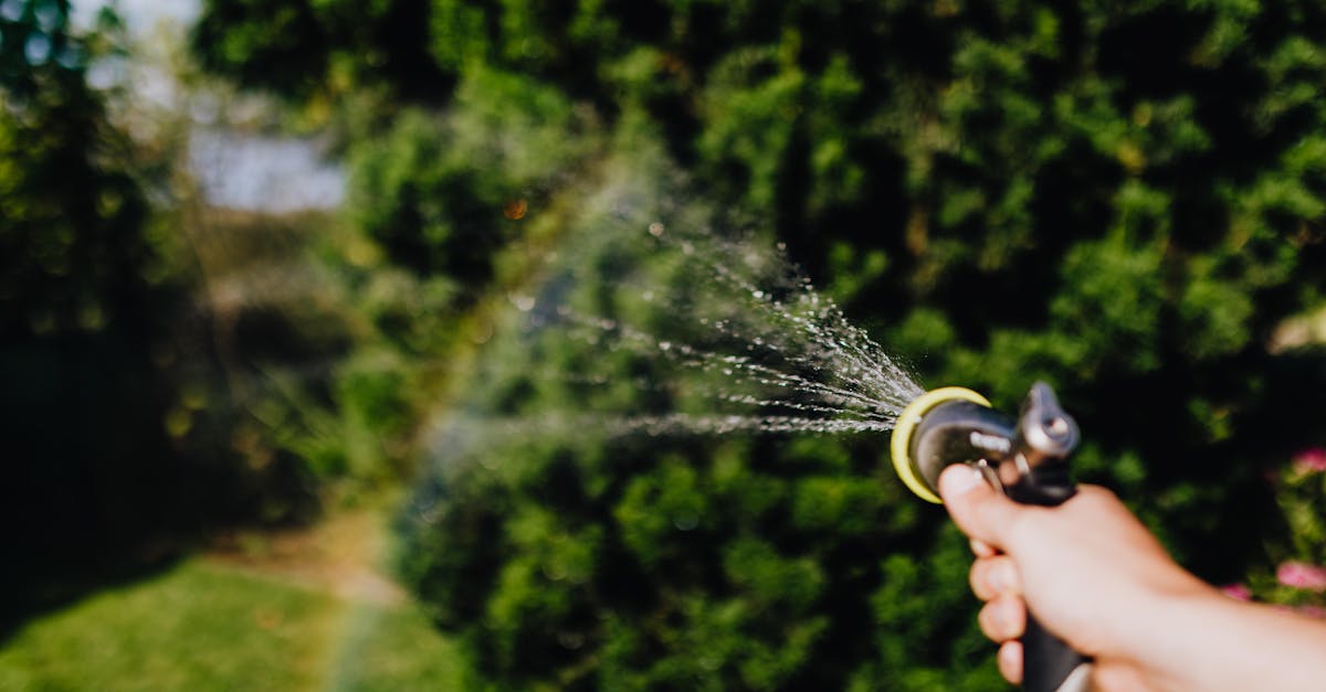 découvrez le jardinage durable : techniques écoresponsables, économie d’eau, compost, biodiversité et potager zéro déchet pour un jardin sain et productif.