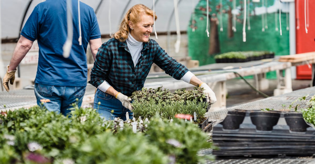 jardinage durable : conseils pratiques pour économiser l’eau, enrichir le sol avec du compost, favoriser la biodiversité et cultiver un potager écologique.