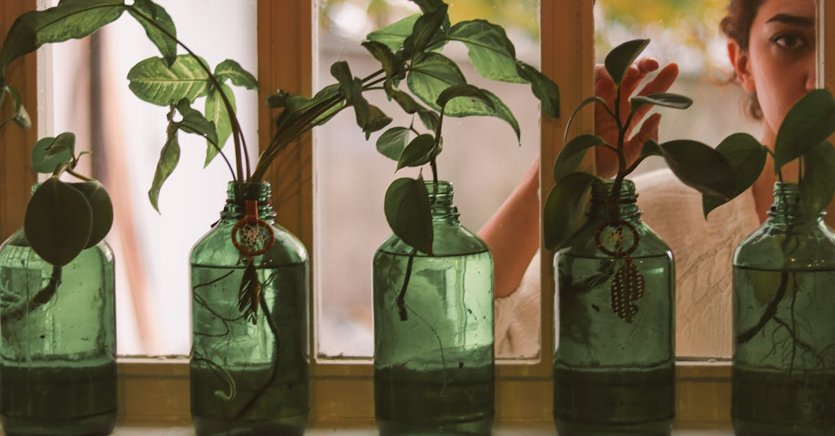 découvrez des conseils et astuces pour adopter un mode de vie durable, réduire votre empreinte écologique et contribuer à la préservation de notre planète tout en vivant de manière éthique et responsable.