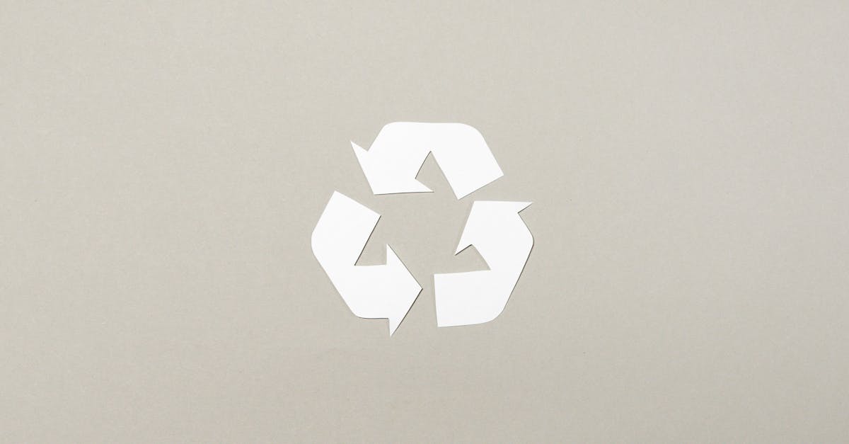 découvrez des pratiques durables qui préservent l'environnement tout en favorisant un développement responsable. apprenez comment intégrer des habitudes écoresponsables dans votre quotidien pour un avenir plus vert.